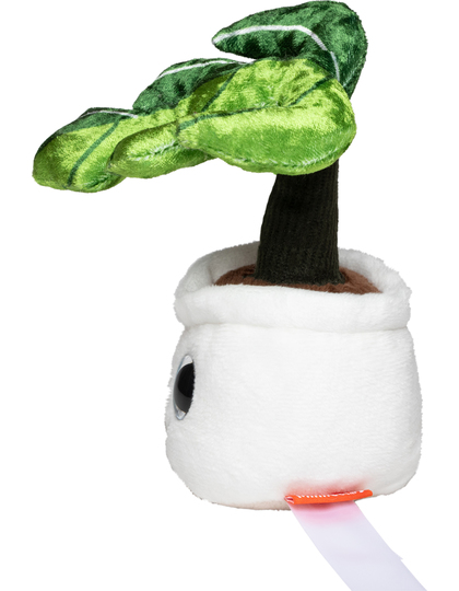 Schmoozies® Evergreenies® Monstera Schmoozies® Evergreenies® Monstera