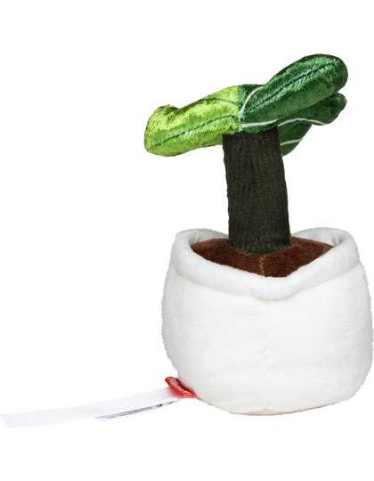 Schmoozies® Evergreenies® Monstera Schmoozies® Evergreenies® Monstera
